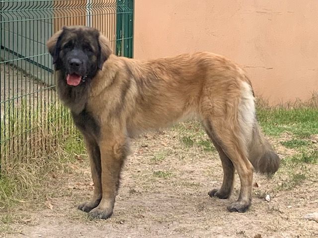 Valtesse emeraude Du Domaine Tout Y Croît