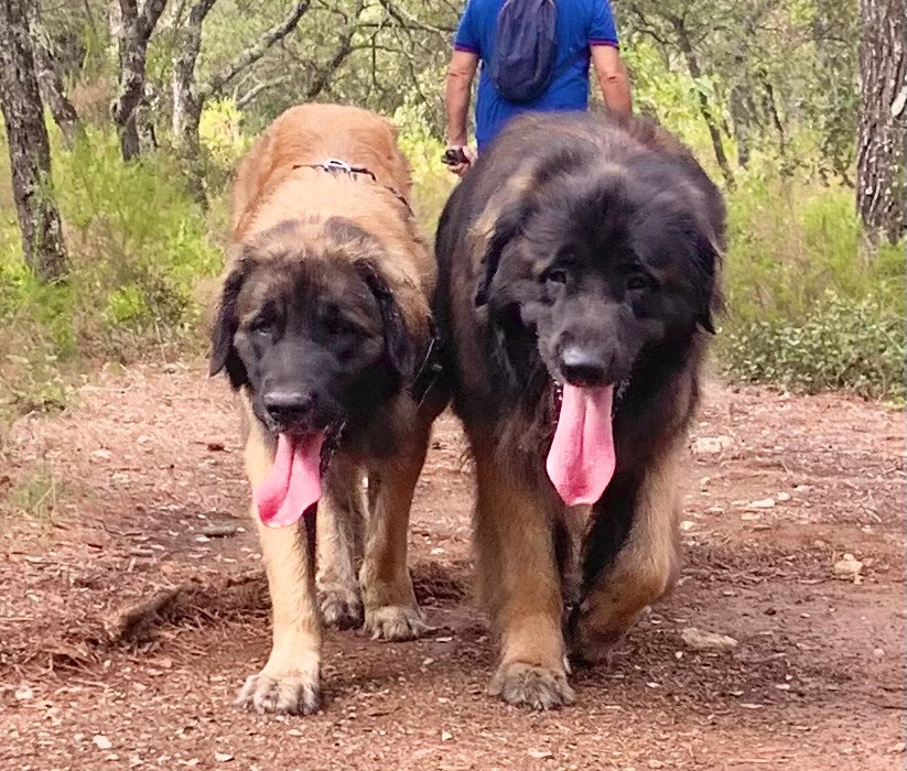 PROCHAINE PORTEE AUTOMNE 2026