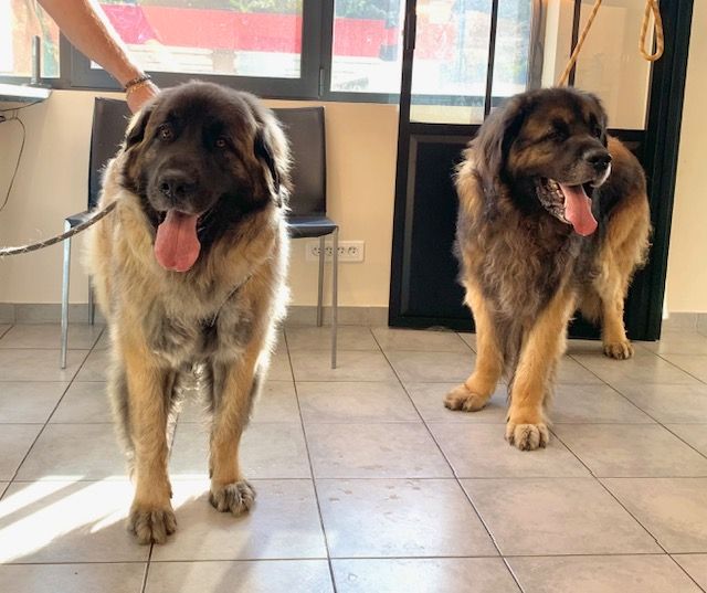 UNE PORTEE A VENIR DECEMBRE 2025